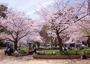 堀江公園