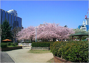 中大江公園