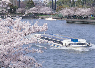 毛馬桜之宮公園