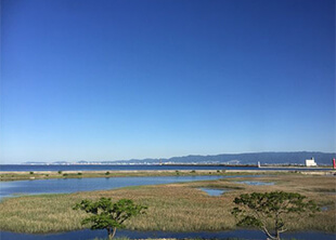 大阪南港野鳥園