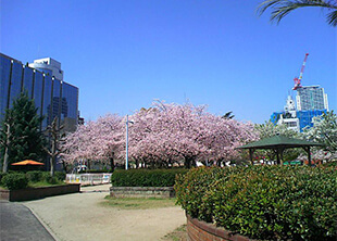 中大江公園