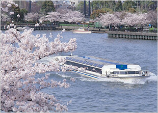 毛馬桜ノ宮公園