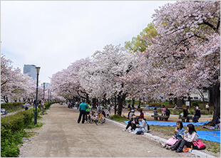 南天満公園