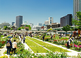 賃貸_シティタワー大阪の周辺環境　中之島公園