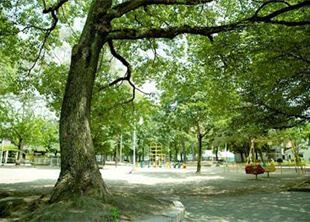 都島公園