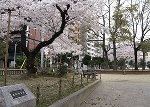 賃貸_大阪ひびきの街の周辺環境　立売堀公園