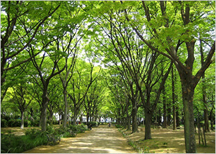 靭公園