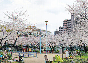 浦江公園