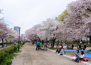 南天満公園